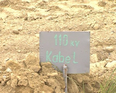 Nuşirəvan Səfərovun daha bir özbaşınalığı: 