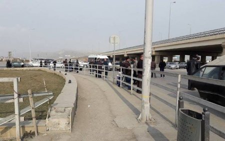 Ziyanı qovdular, qoçuları qalır Ziyanı qovdular, qoçuları qalır