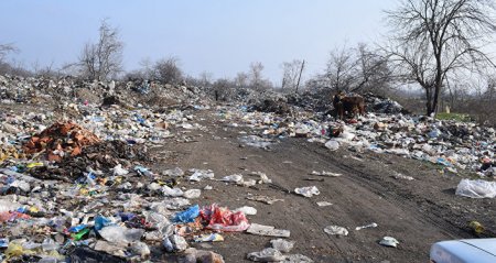 Üfunət görmək istəyən... Oğuza gəlsin! Üfunət görmək istəyən... Oğuza gəlsin!