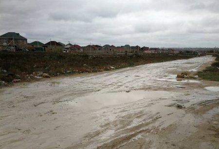 Adil Vəliyevin rayonunda BİABIRÇI MƏNZƏRƏ