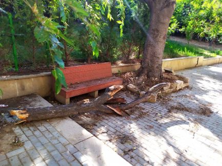 İcra başçısı İlham Əliyevin saldırdığı parkı məhv edib İcra başçısı İlham Əliyevin saldırdığı parkı məhv edib