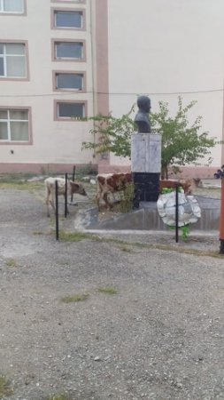 Təhsil nazirliyini bu biabırçı mənzərə narahat etməlidir... Təhsil nazirliyini bu biabırçı mənzərə narahat etməlidir...