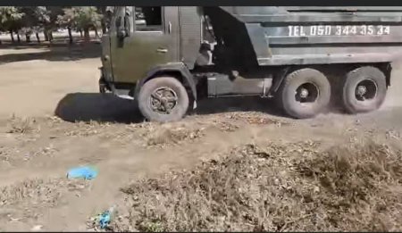 Cənub meşələrinin torpağı da satılır... Cənub meşələrinin torpağı da satılır...