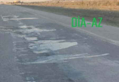 Ziya Məmmədovun SƏDAQƏTLİ ŞƏYİRDLƏRİ...