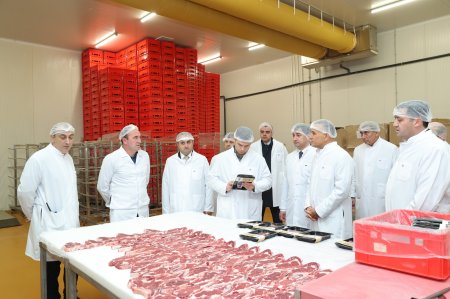KOBİA nümayəndə heyəti “Veysəloğlu”na məxsus Məhəmmədi Logistika Mərkəzini ziyarət edib