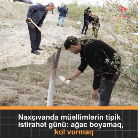 Naxçıvanda müəllim kimdi, dincəldi nədi...