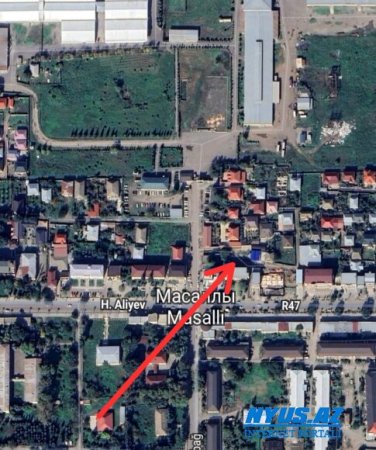 Masallıda AĞACYEYƏNLƏR İŞ BAŞINDA...